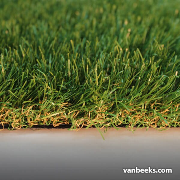 AGL Saratoga 40 Turf preview
